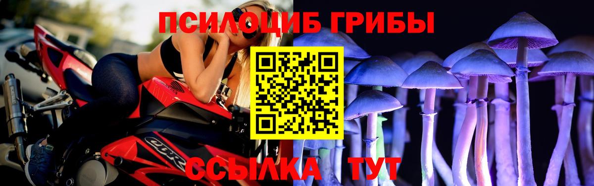 Галлюциногенные грибы Psilocybine cubensis  Галлюциногенные грибы Psilocybe  Сергиев Посад  Вход с VPN 